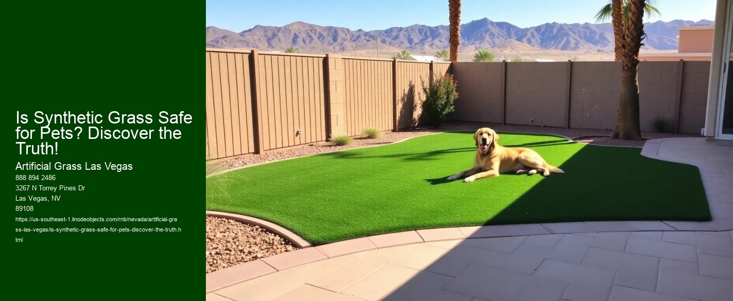 Is Synthetic Grass Safe for Pets? Discover the Truth!
